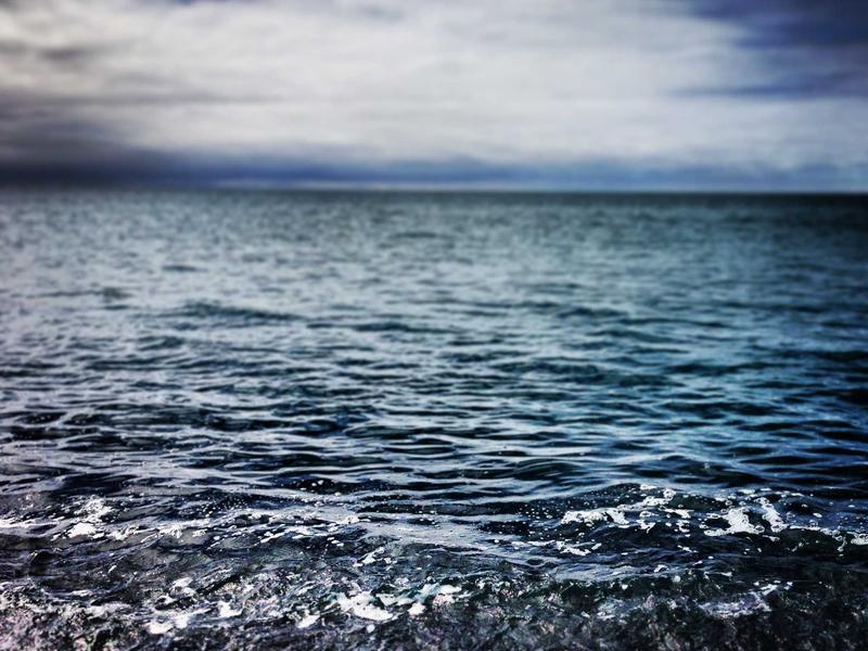 WilerCaleNorlian San Pedro de Macorís